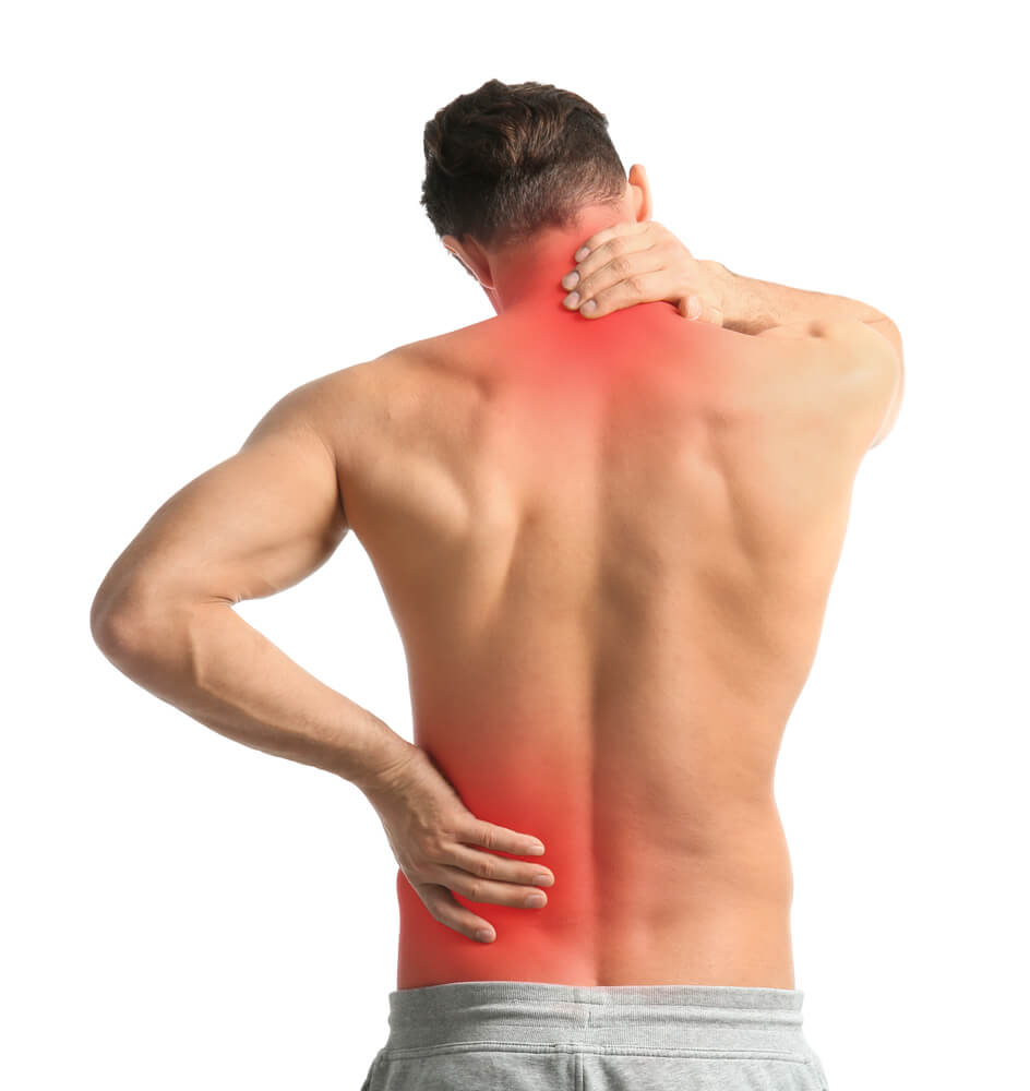 im Rücken Muskelverhärtungen und Schmerzen