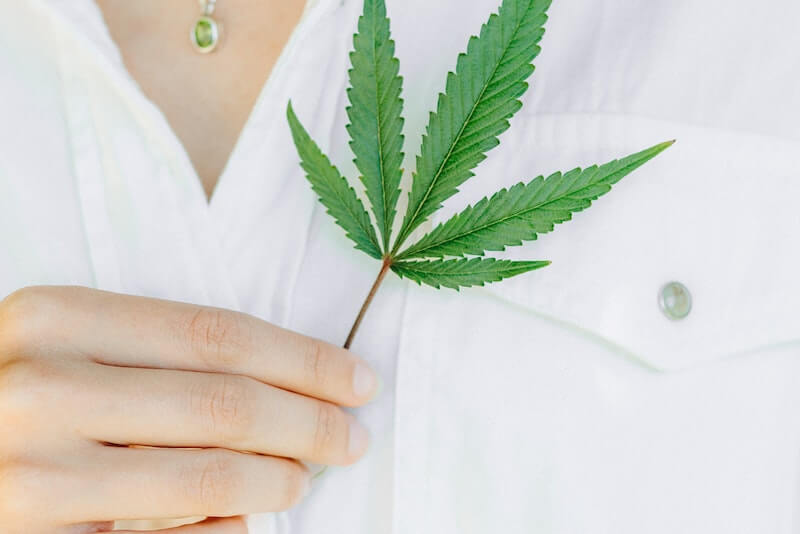 CBD Salbe gegen Rückenschmerzen: Schmerzfrei mit Cannabis